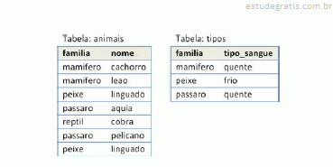 Observe As Tabelas A Seguir: Assinale A Opção Que Indica ...